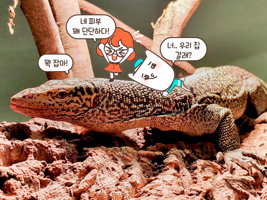 어? 정글 프로에서 본 거 같은데!