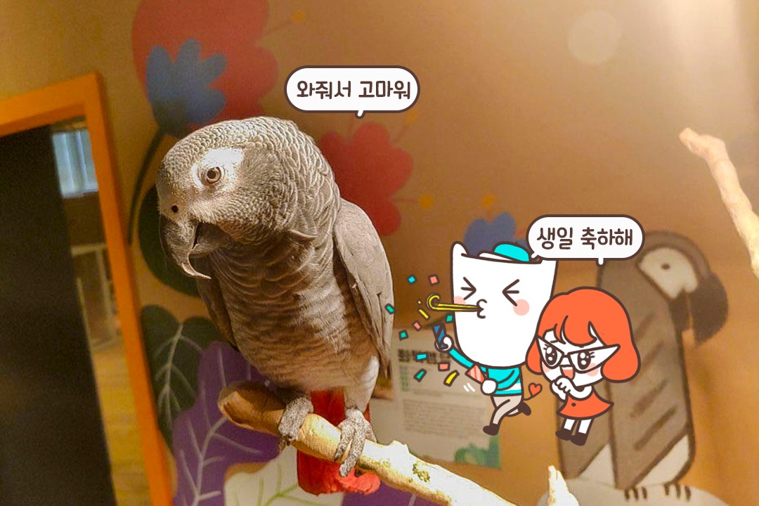 동물 + 휴식 = 찐힐링 ( ͡° ͜ʖ ͡°)✧