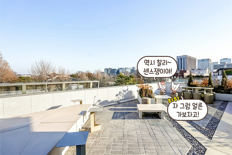서촌의 고즈넉한 풍경을 한눈에👀