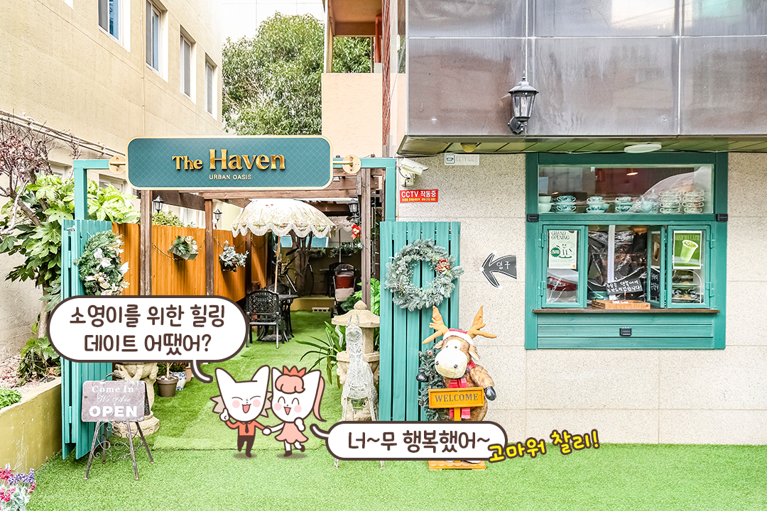 프라이빗하고 아늑한 카페를 찾고 있다면 여기로!