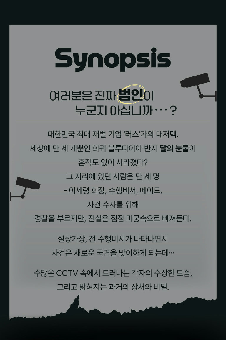 사라진 '달의 눈물'을 찾아라🌙
