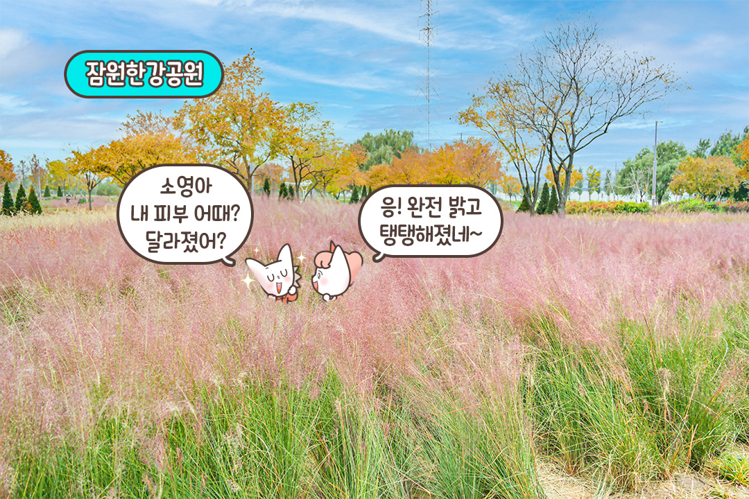 신사역 1분 컷🕺