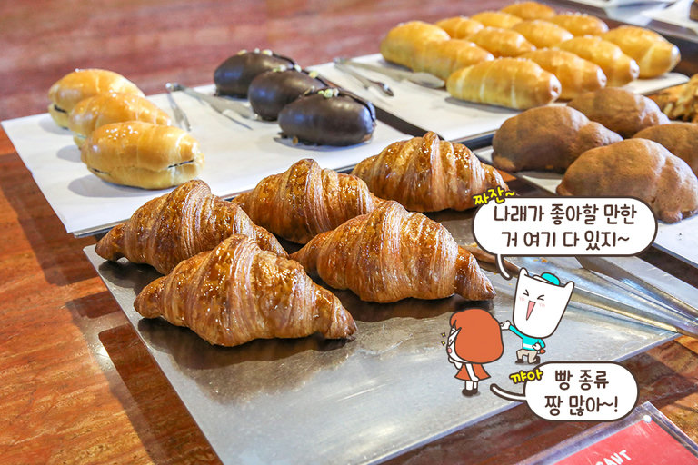 눈과 입이 모두 즐거운 다채로운 베이커리 천국🥐