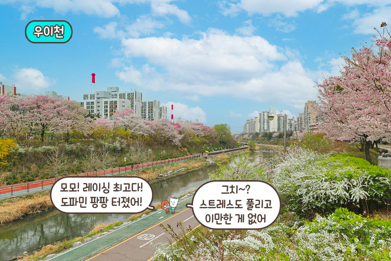 위치, 주차, 산책로까지 완벽한 곳🤝