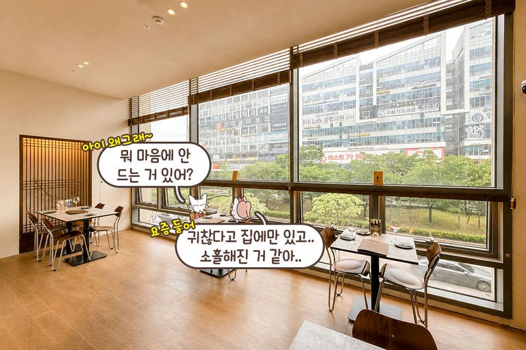 취향대로 골라 앉는 다양한 좌석🌿