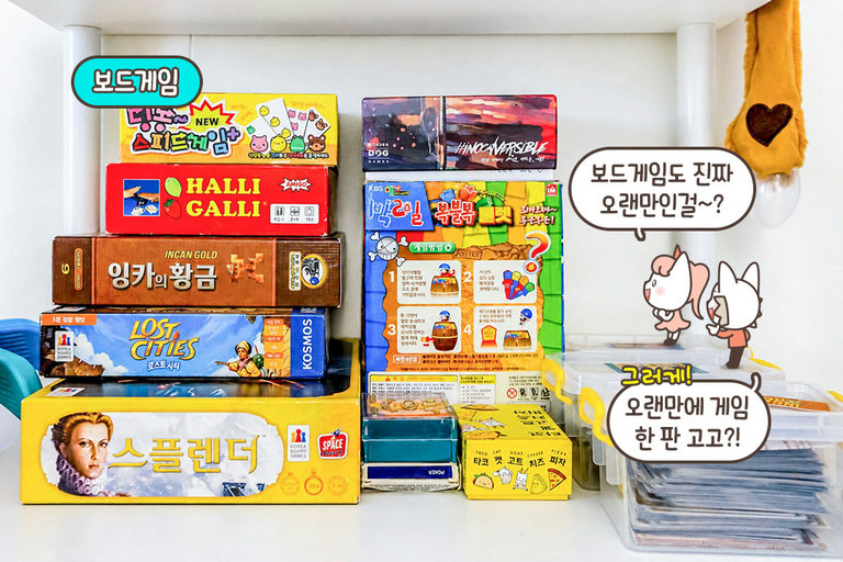 내기 게임 즐기기에 딱🎲