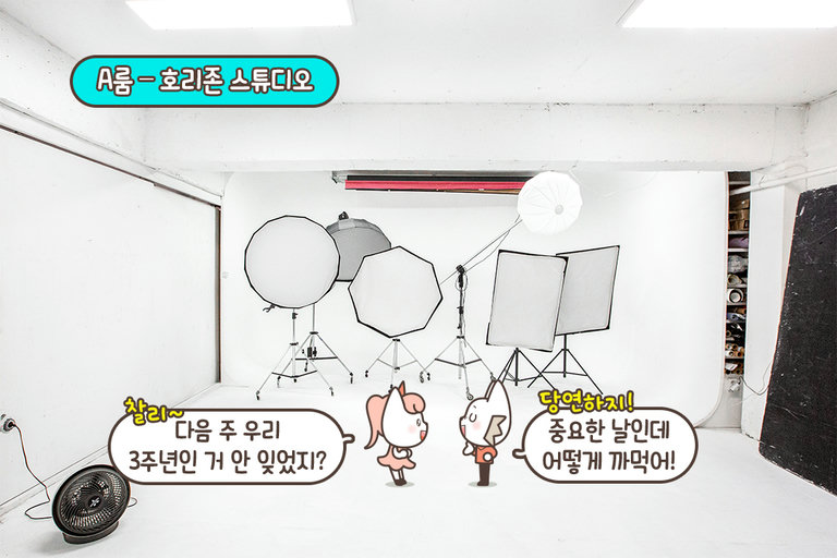 40평 호리존에 전문 촬영 장비까지🤍
