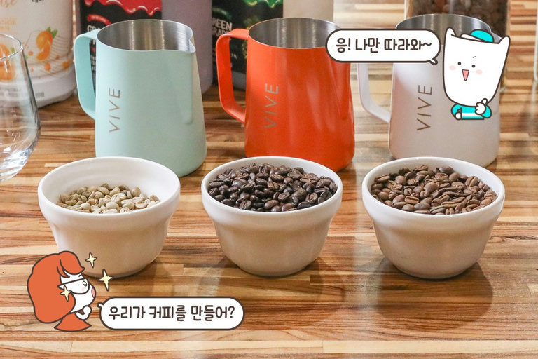 커리큘럼이 궁금한 사람들을 위한 배려 ₍ᐢ ๑ • 𖥦 • ๑ ᐢ₎ ♡