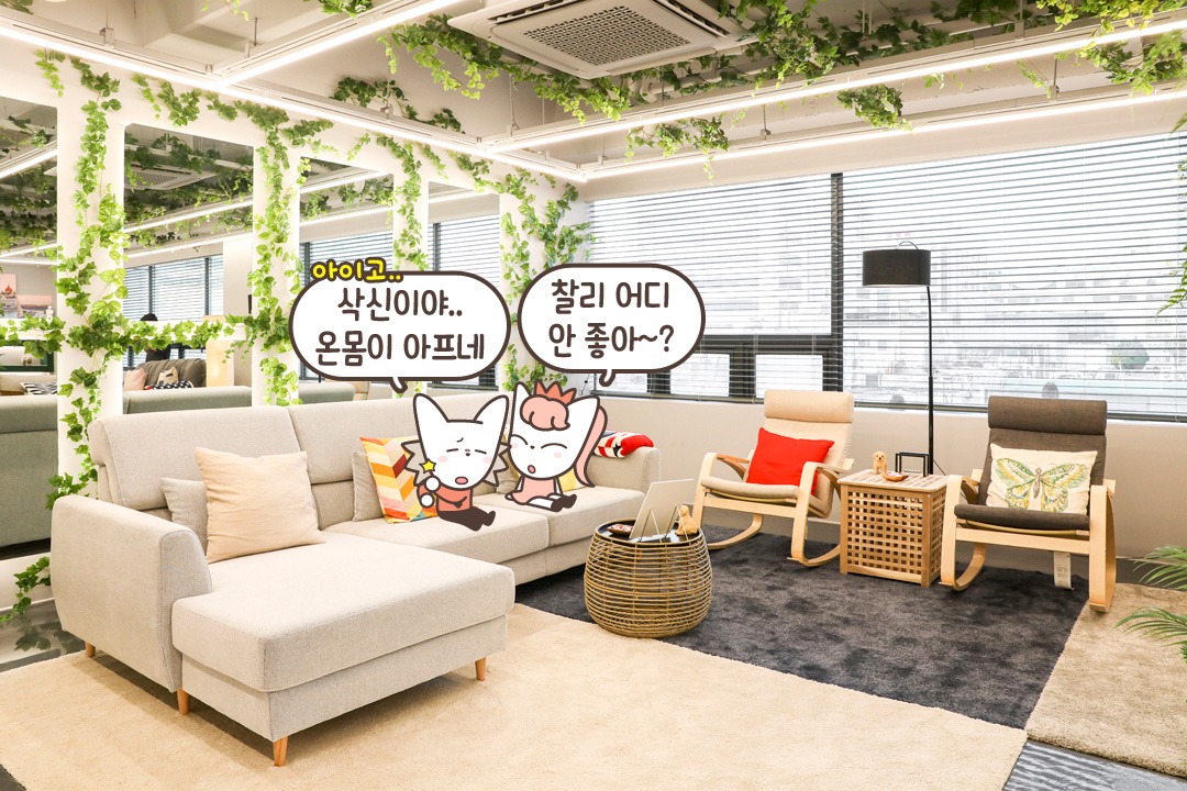 자연 친화 마사지샵🌴
