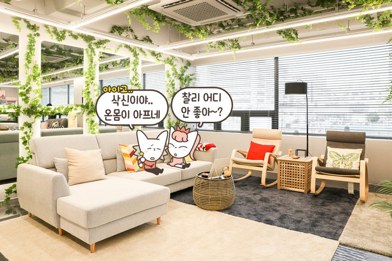 자연 친화 마사지샵🌴