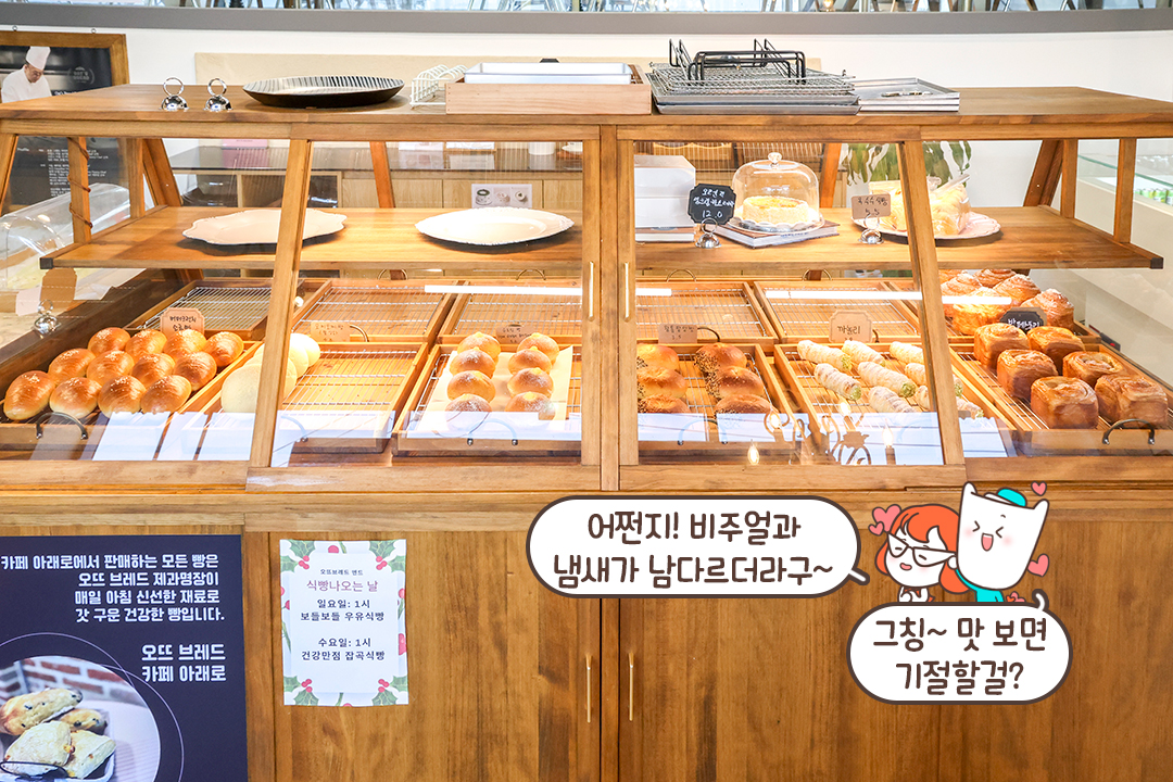 명장의 철학이 담긴 정직한 빵🥖