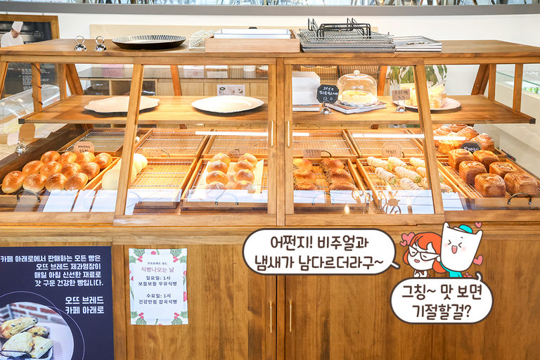 명장의 철학이 담긴 정직한 빵🥖