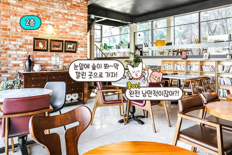 벚꽃부터 눈꽃까지, 파노라마로 즐기는 숲 뷰🌳