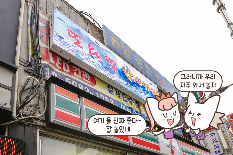 시설, 상품, 물고기 다 갓벽한-🌟