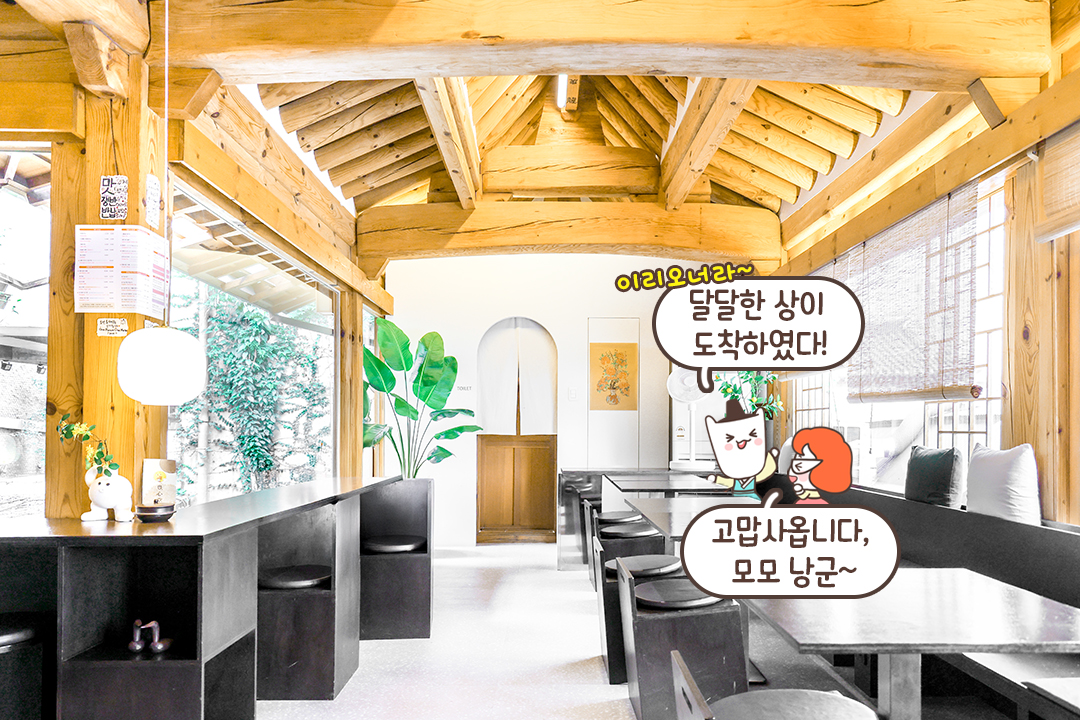 아늑한 좌석과 따뜻한 햇살☀️