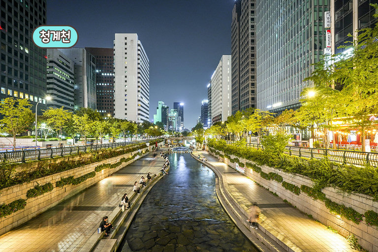 역세권 식당에서 밥 먹고 청계천 산책까지