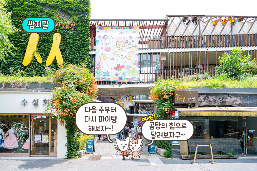 인사동 쌈지길까지 완벽한 코스
