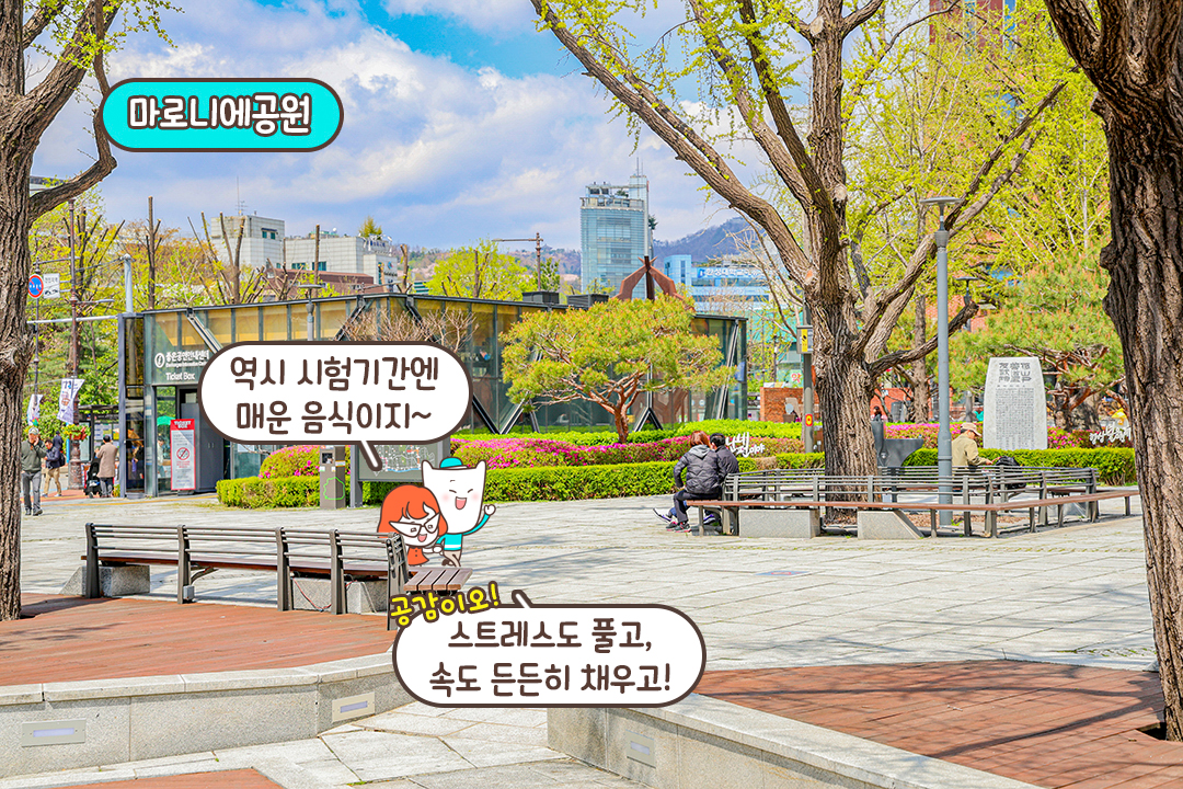 마로니에 공원 근처에서 든든하게 한 끼