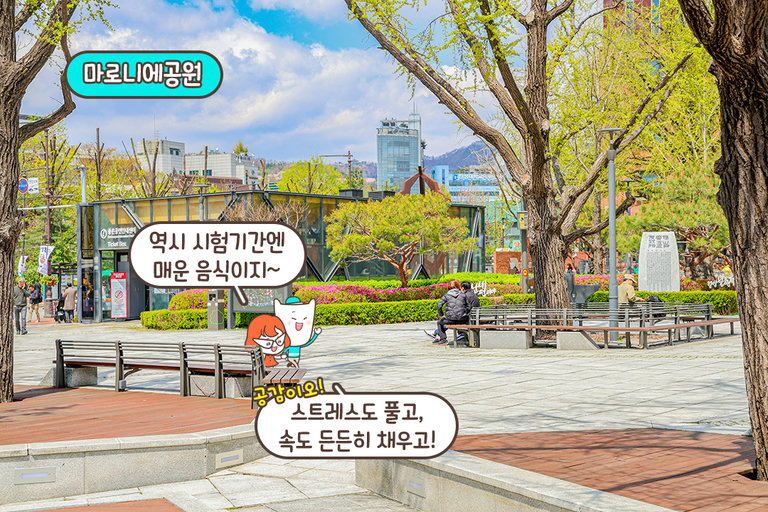 마로니에 공원 근처에서 든든하게 한 끼