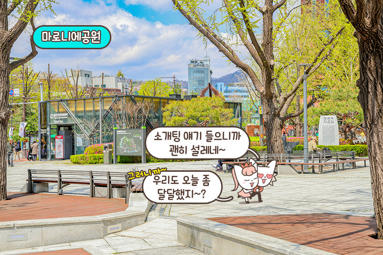 마로니에 공원 근처의 한옥 술집