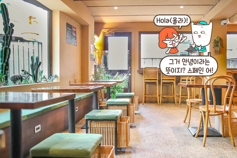 이국적인 인테리어, 사막 속 오아시스st🌵