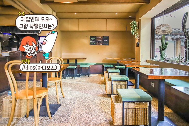 ITZY의 유나가 다섯 번 이상 방문한 버팔로윙 맛집