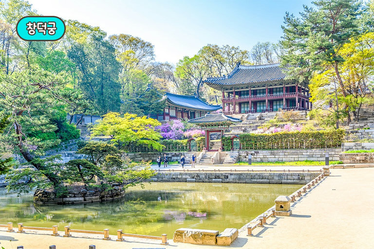 훌륭한 식사와 창덕궁 산책 코스로 데이트 완성!