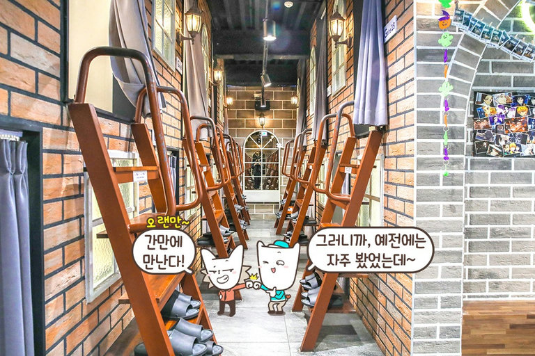프라이빗룸이 가득한 이곳🛖