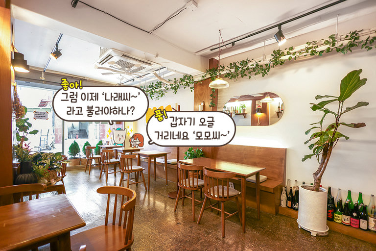 사진 잘 나오는 힙하고 은은한 감성 조명