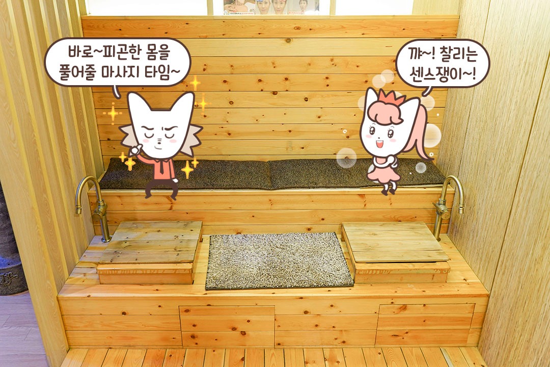청결이 우선!