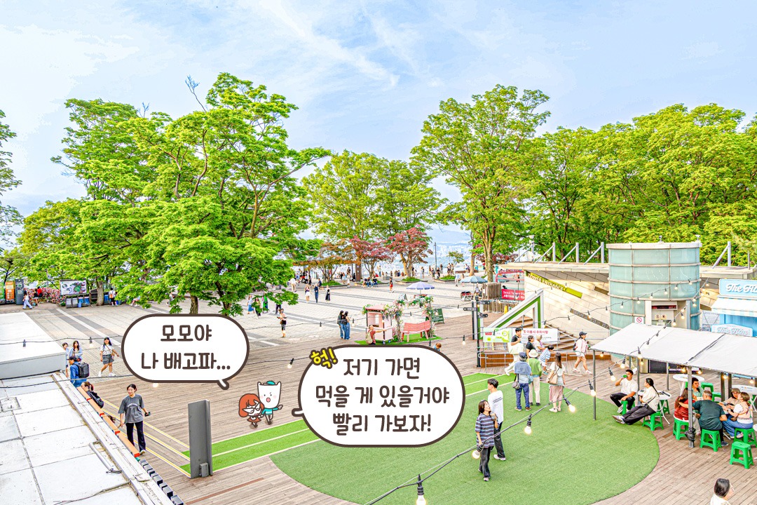 볼거리도 많은 남산타워👀