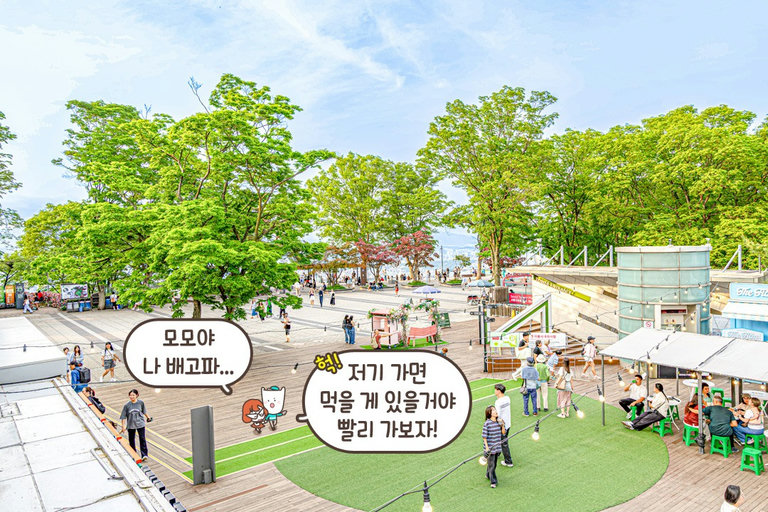 볼거리도 많은 남산타워👀