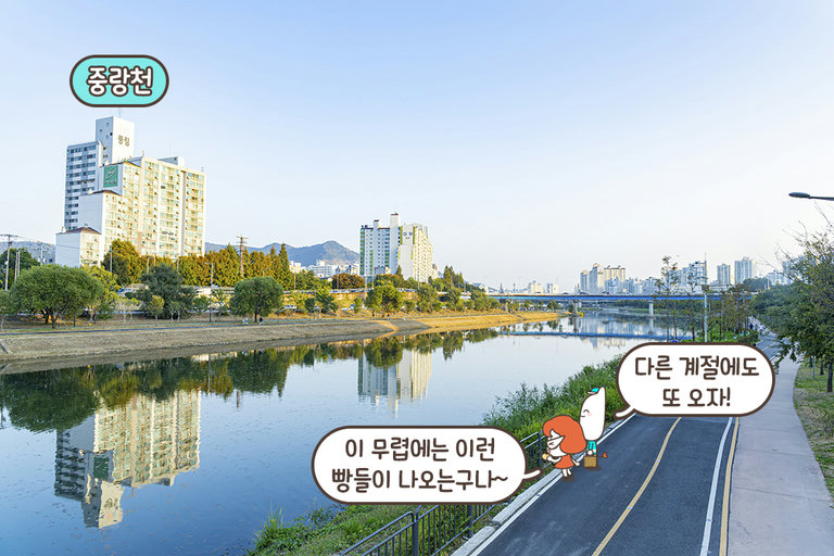 빵지순례 후 산책까지🌹