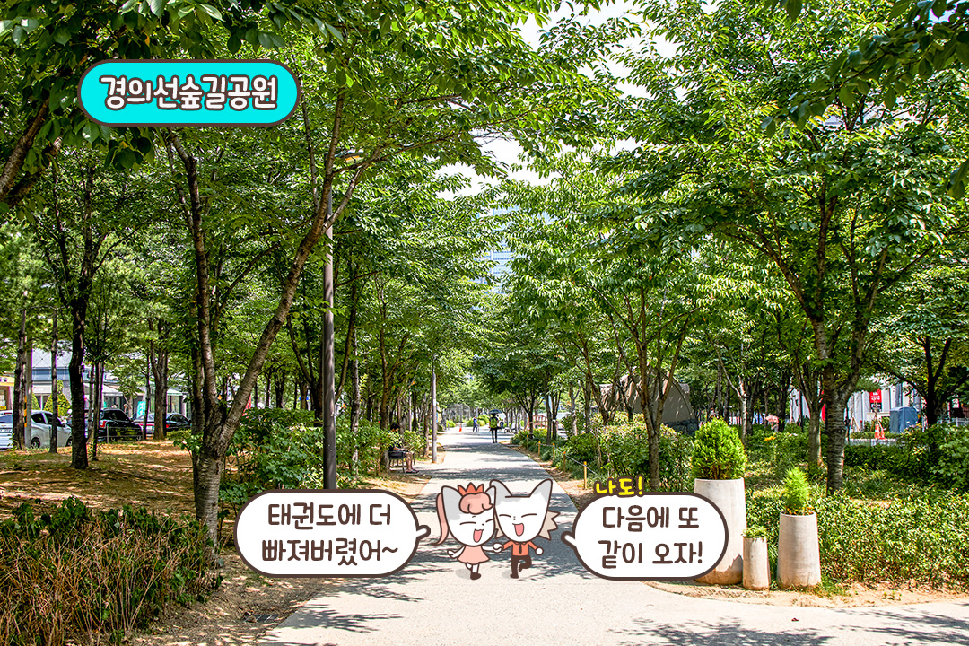 세계 최초! 국가대표 태권도 선수들의 공연을 볼 수 있는 펍✨