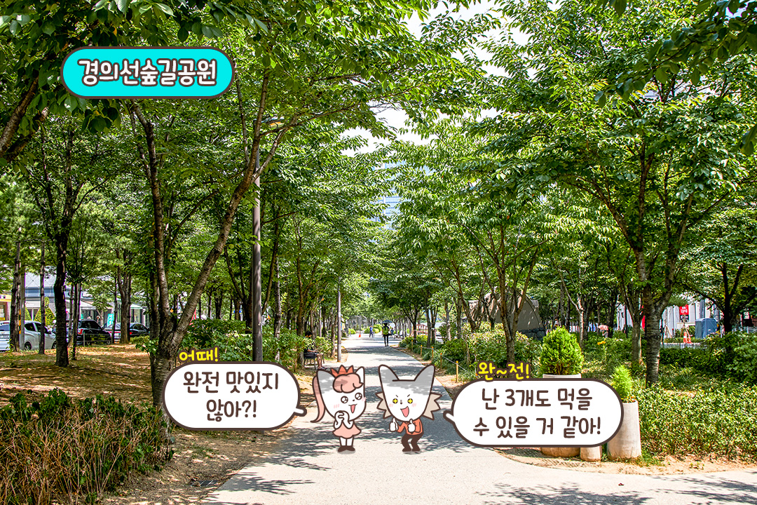 든든한 식사 후 산책까지 한 번에🌳