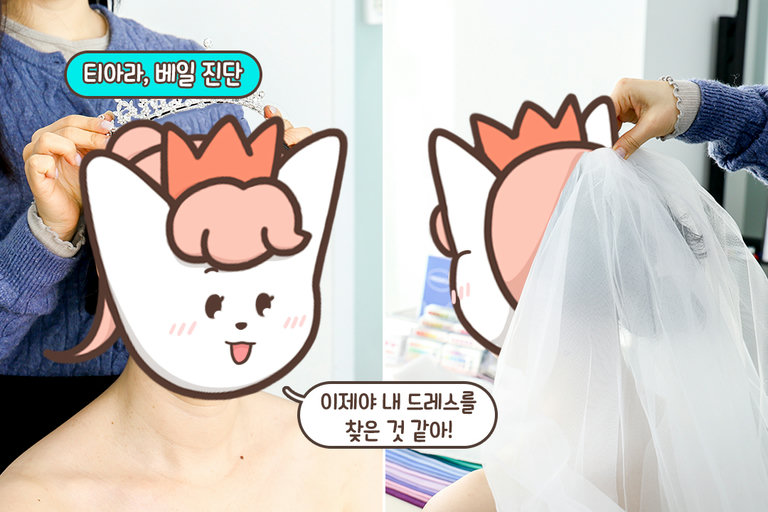 드레스뿐만 아니라 예복까지!