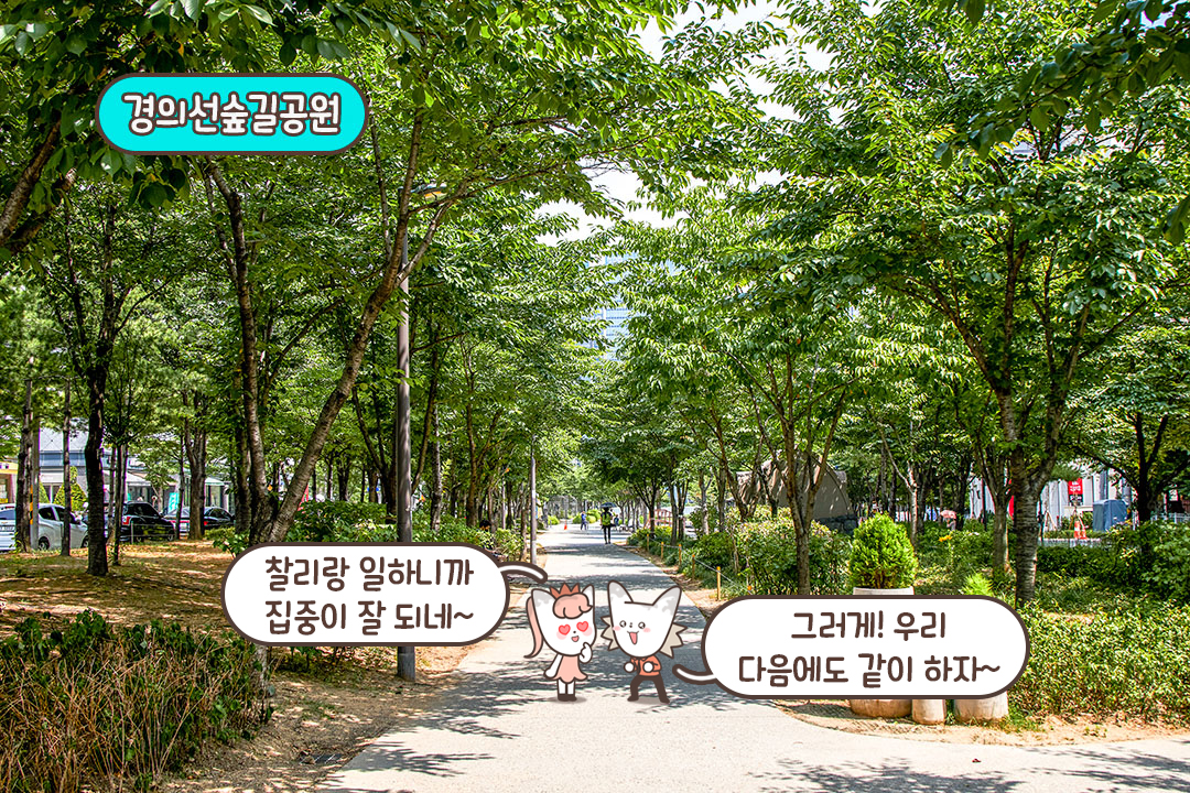 테이크아웃 후 산책 데이트까지