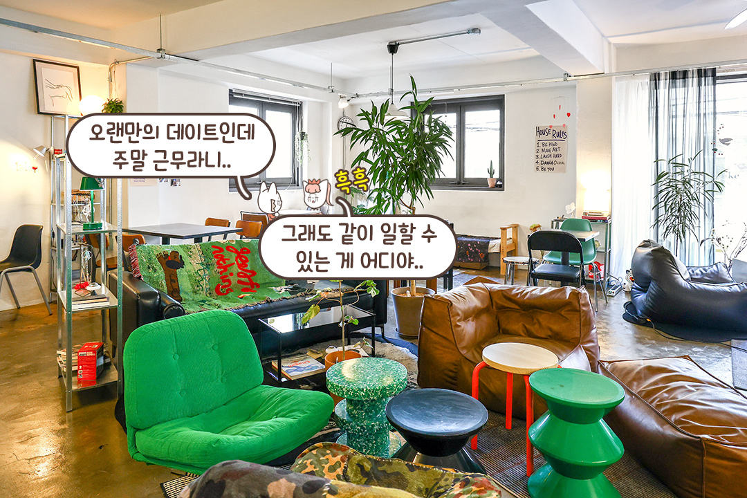 부드러운 채도와 은은한 햇빛의 조화