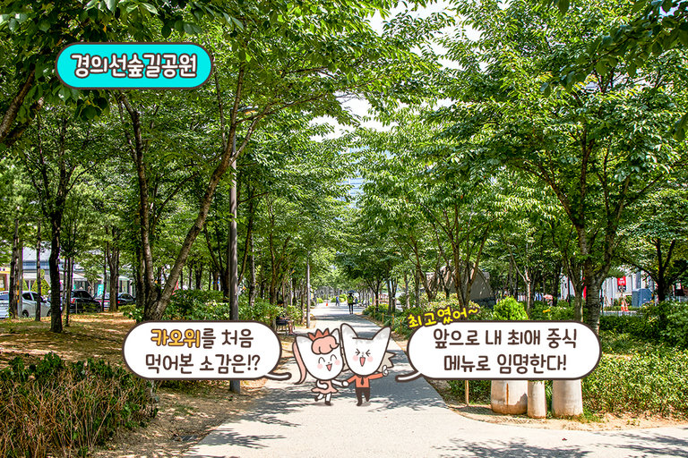 중국 현지에 다녀온 듯한 기분✈️