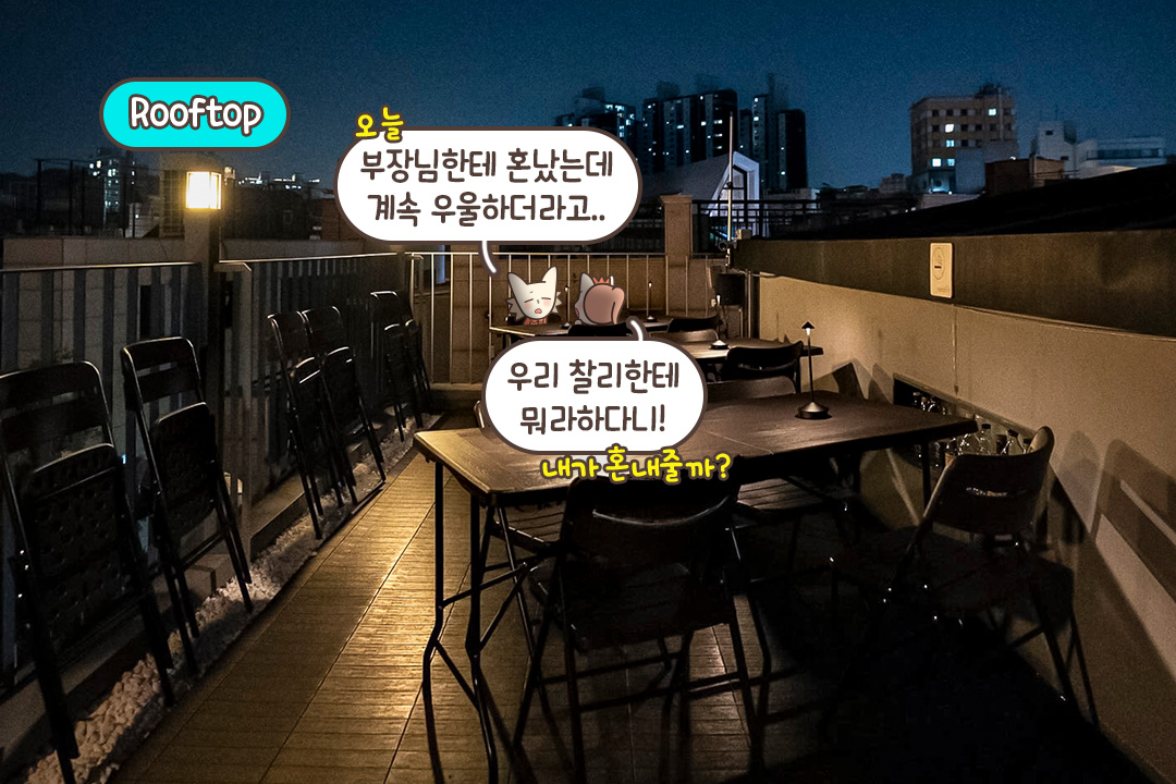 공간마다 다른 컨셉,  골라 앉는 재미😝
