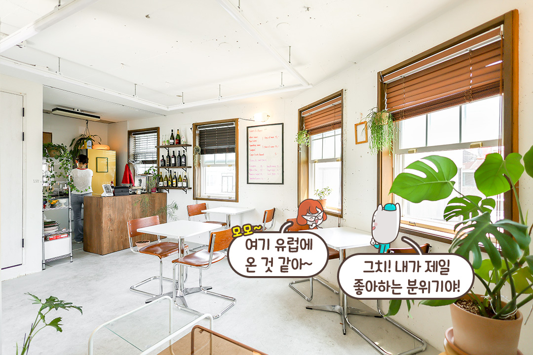 우드톤+식물 조합🪵