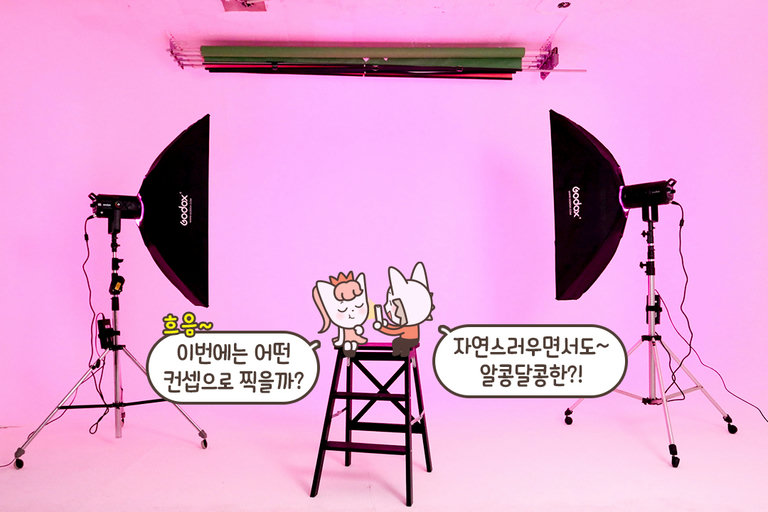 컬러 배경으로 원하는 무드 완성🌈
