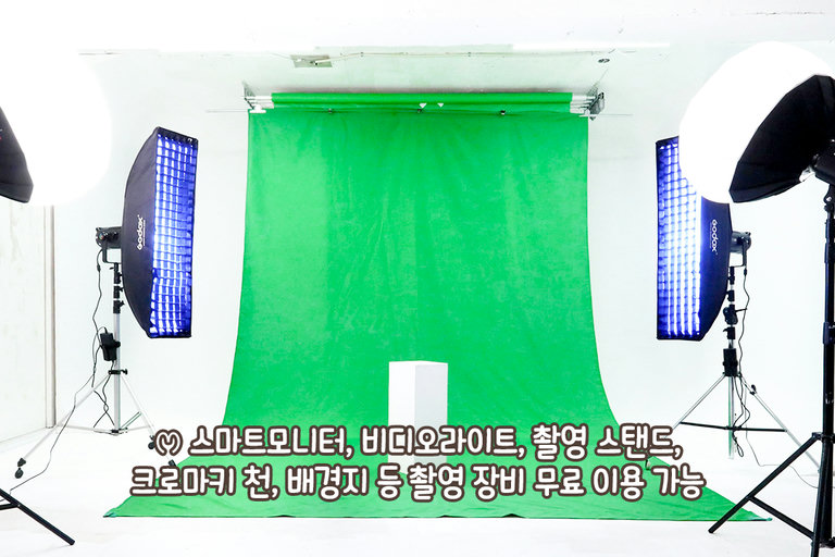 컬러 배경으로 원하는 무드 완성🌈