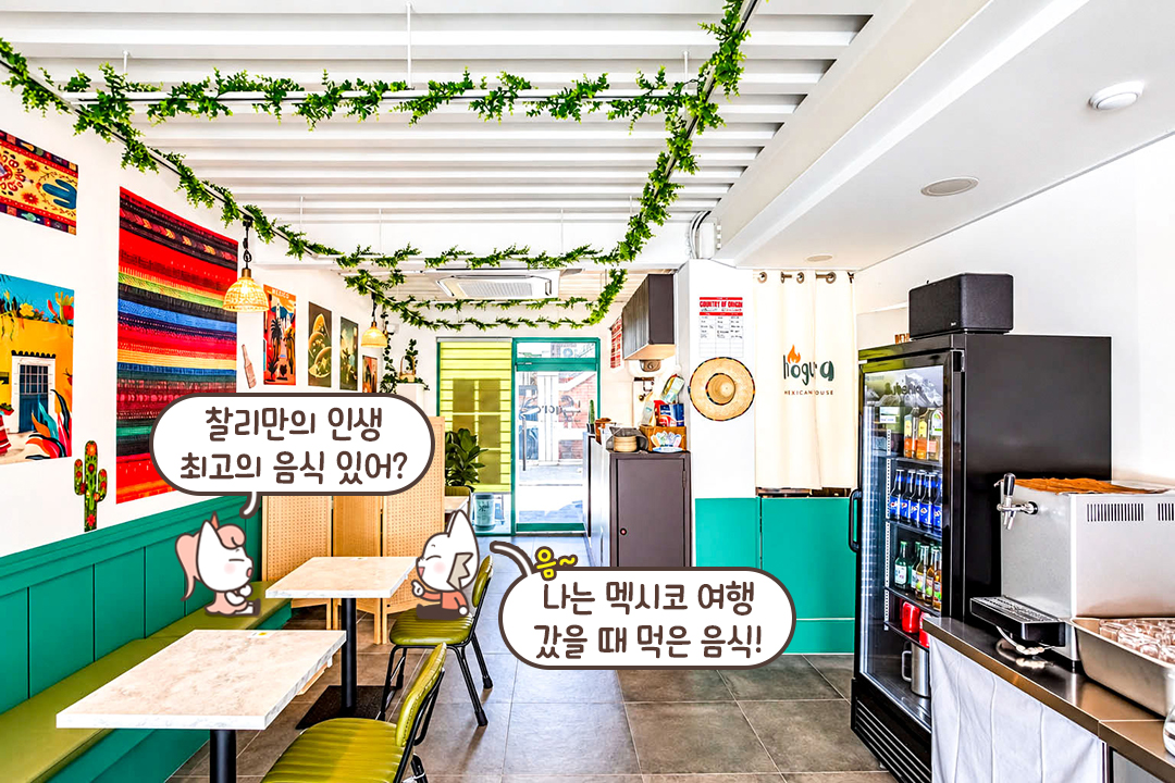 메인 셰프님의 화려한 경력👍