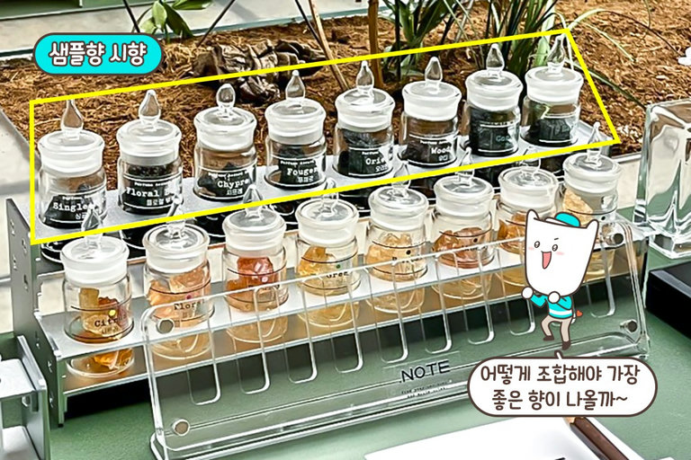 향과 나에 집중할 시간👀