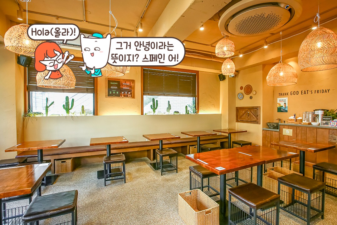 이국적인 인테리어, 사막 속 오아시스st🌵