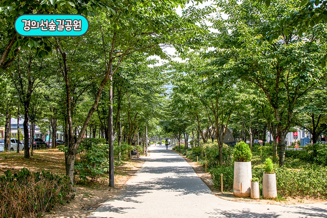 훌륭한 식사와 경의선숲길공원 산책 코스로 데이트 완성!