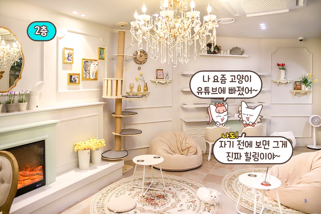 입장하기 전 입장 동의서를 작성해 주세요📝