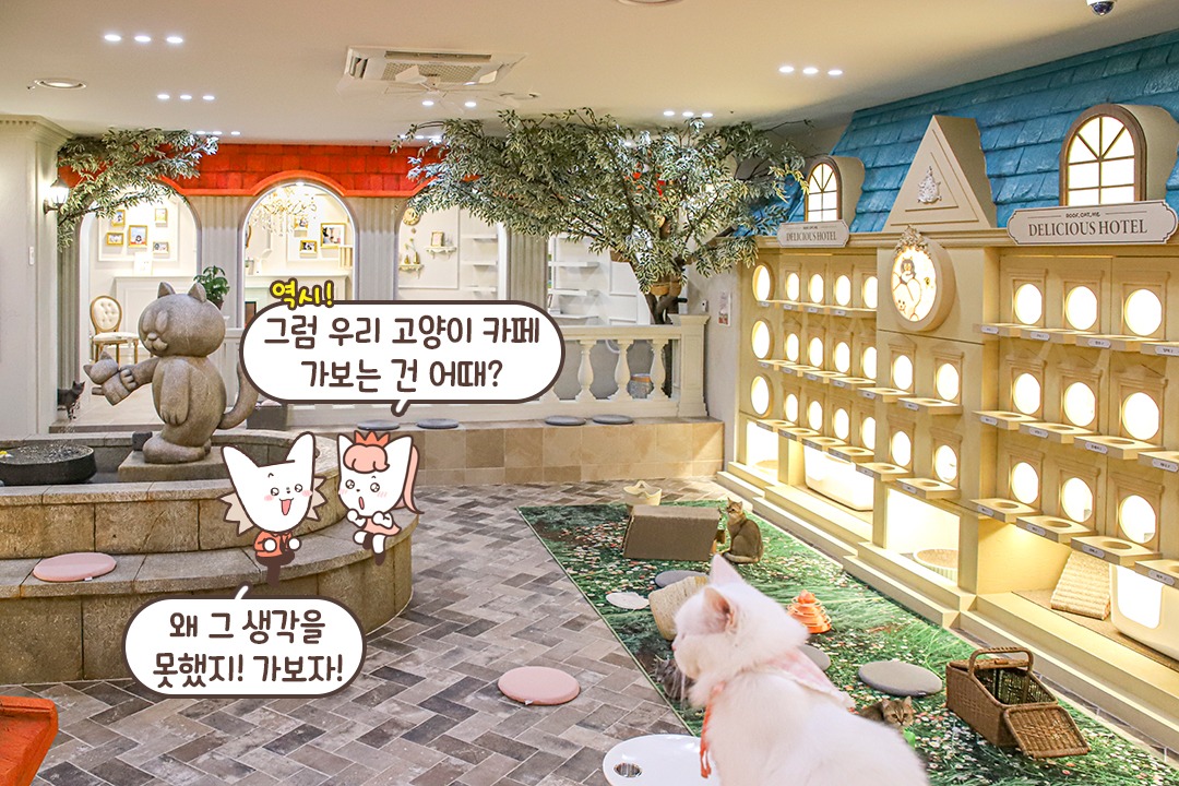 동화 속으로 들어온 듯한 고양이 마을🏘️
