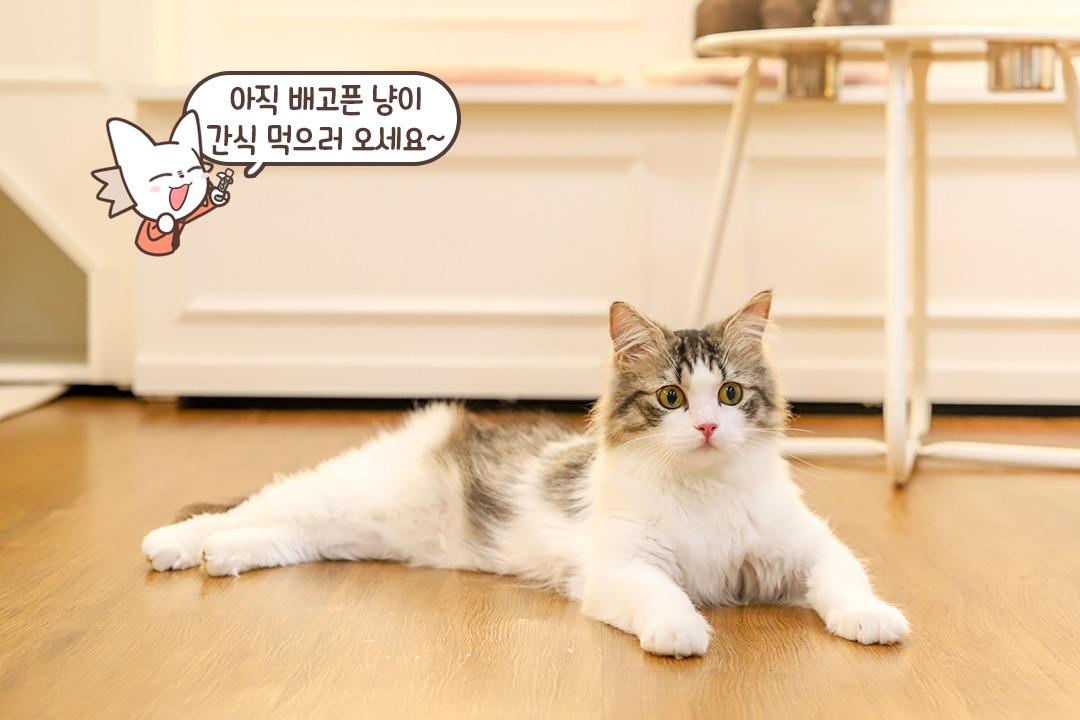 나갈 때도 깔끔하게🫧
